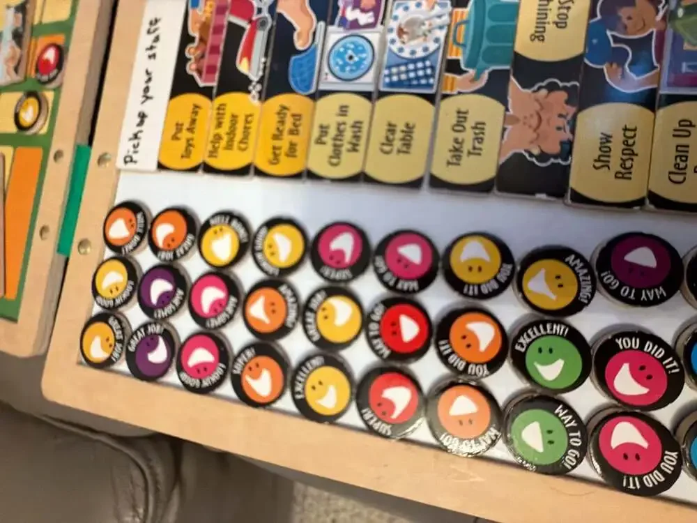 Melissa & Doug My Magnetic Responsibility Chart